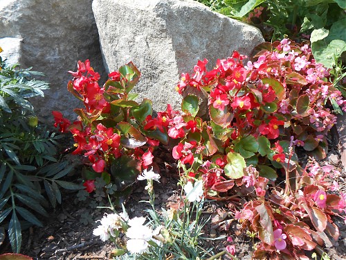 Zdjęcia do IV części filmu o Wydawnictwie PETRUS